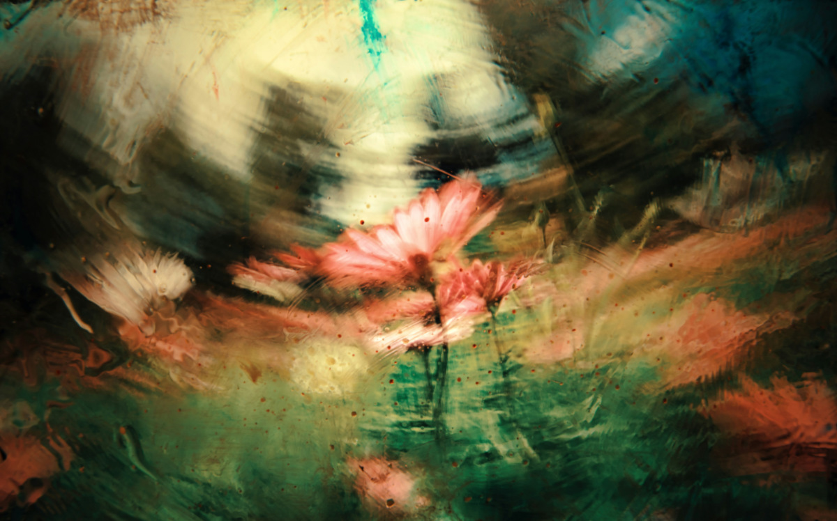 Foto de <a href="https://unsplash.com/es/@jrkorpa?utm_source=unsplash&utm_medium=referral&utm_content=creditCopyText">Jr Korpa</a> en <a href="https://unsplash.com/es/fotos/pintura-de-flores-rojas-AIe6wdtC3Q8?utm_source=unsplash&utm_medium=referral&utm_content=creditCopyText">Unsplash</a>
