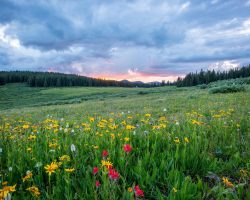 Diumenge XXXIV // Lc 23,32-43 Còdex Beza