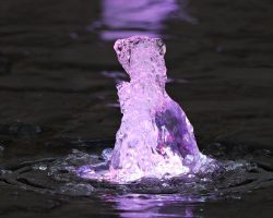 Diumenge III de Quaresma // Jn 4,5-42