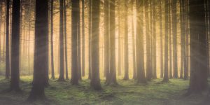 Diumenge V de Pasqua