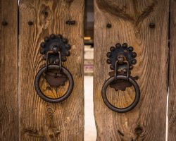 Diumenge IV de Pasqua // Jn 10,1-10 Còdex Beza