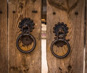 Domingo IV de Pascua // Jn 10,1-10 Códice Beza