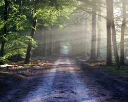 Diumenge III de Pasqua // Lc  24,13-35 Còdex Beza