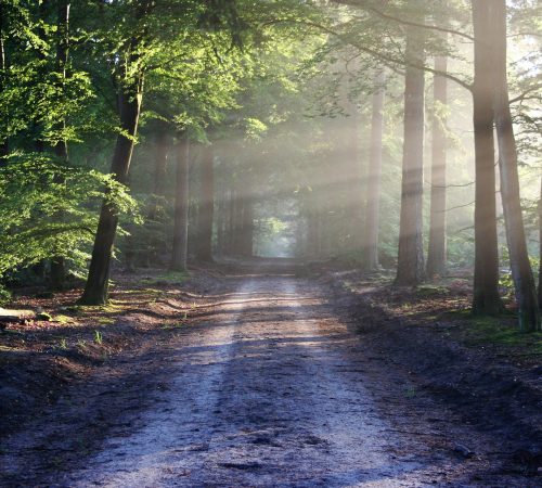 Diumenge III de Pasqua // Lc  24,13-35 Còdex Beza