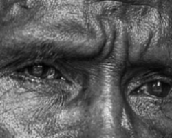 Diumenge IV de Quaresma // Jn 9,1-41 Còdex Beza