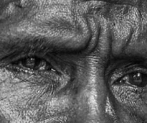 Domingo IV de Cuaresma // Jn 9,1-41 Códice Beza