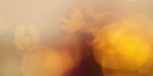 Diumenge IV de Quaresma // Jn 3,12-21 Còdex Beza