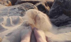 Diumenge XV de durant l’any // Mc 6,7-13 Còdex Beza