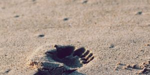 Domingo II del tiempo ordinario