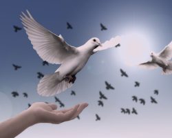 Diumenge VI de Pasqua // Jn 14,15-21 Còdex Beza