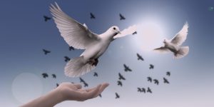 Diumenge VI de Pasqua