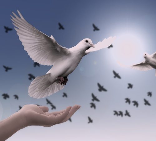Diumenge VI de Pasqua // Jn 14,15-21 Còdex Beza