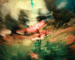 Foto de <a href="https://unsplash.com/es/@jrkorpa?utm_source=unsplash&utm_medium=referral&utm_content=creditCopyText">Jr Korpa</a> en <a href="https://unsplash.com/es/fotos/pintura-de-flores-rojas-AIe6wdtC3Q8?utm_source=unsplash&utm_medium=referral&utm_content=creditCopyText">Unsplash</a>
