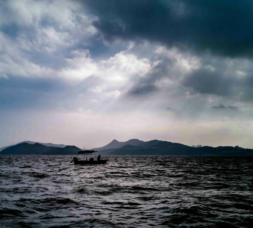 Diumenge XVI de durant l’any // Mc 6,30-34 Còdex Beza